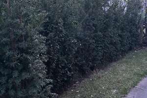 Property thumbnail 39