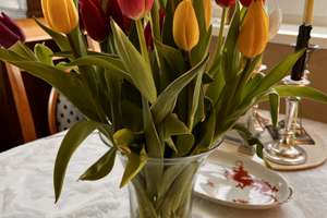 Property thumbnail 9