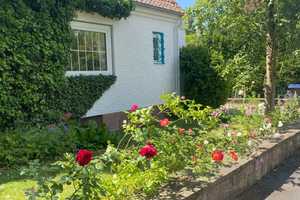 Klütviertel: Freistehendes Einfamilienhaus in exklusiver Lage  – Hameln-Pyrmont (Kreis) – Vorschaubild 4