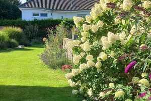  JETZT ZUSCHLAGEN und SOMMER 25 EINZIEHEN! – Oberhavel (Kreis) – Vorschaubild 36