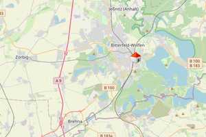 Doppelhaushälfte in Bitterfeld – modernisiert, gemütlich & mit Pool – sofort einziehen & genießen! – Anhalt-Bitterfeld (Kreis) – Vorschaubild 35
