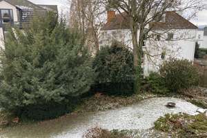 * Exklusives Einfamilienhaus in absoluter Bestlage Wiesbadens mit idyllischem Grundstück * – Gertrud-Bäumer-Straße 17, 65189 Südost, Wiesbaden – Vorschaubild 21