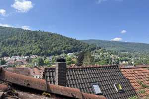 Ehem. Weinbauernhaus am Neckarhang – Schönauer Straße 15, 69118 Heidelberg – Vorschaubild 11