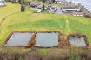 Villa mit Pool – Gewerbehalle, Büroflächen, 1 Wohnhaus vermietet, Baugrund auf ca. 20.000 m² – Die vollständige Adresse der Immobilie erhältst du vom Anbieter., 71540 Murrhardt – Vorschaubild 4