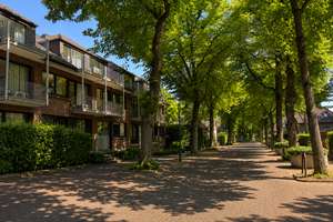 Modernes Wohnen in der Grünen Allee - Erstbezug 2027