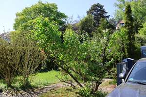**KILLESBERGWOHNEN** DHH mit Charme in BESTLAGE & PANORAMABLICK | GROSSEM GARTEN & GARAGE – Die vollständige Adresse der Immobilie erhältst du vom Anbieter., 70192 Killesberg, Stuttgart – Vorschaubild 4
