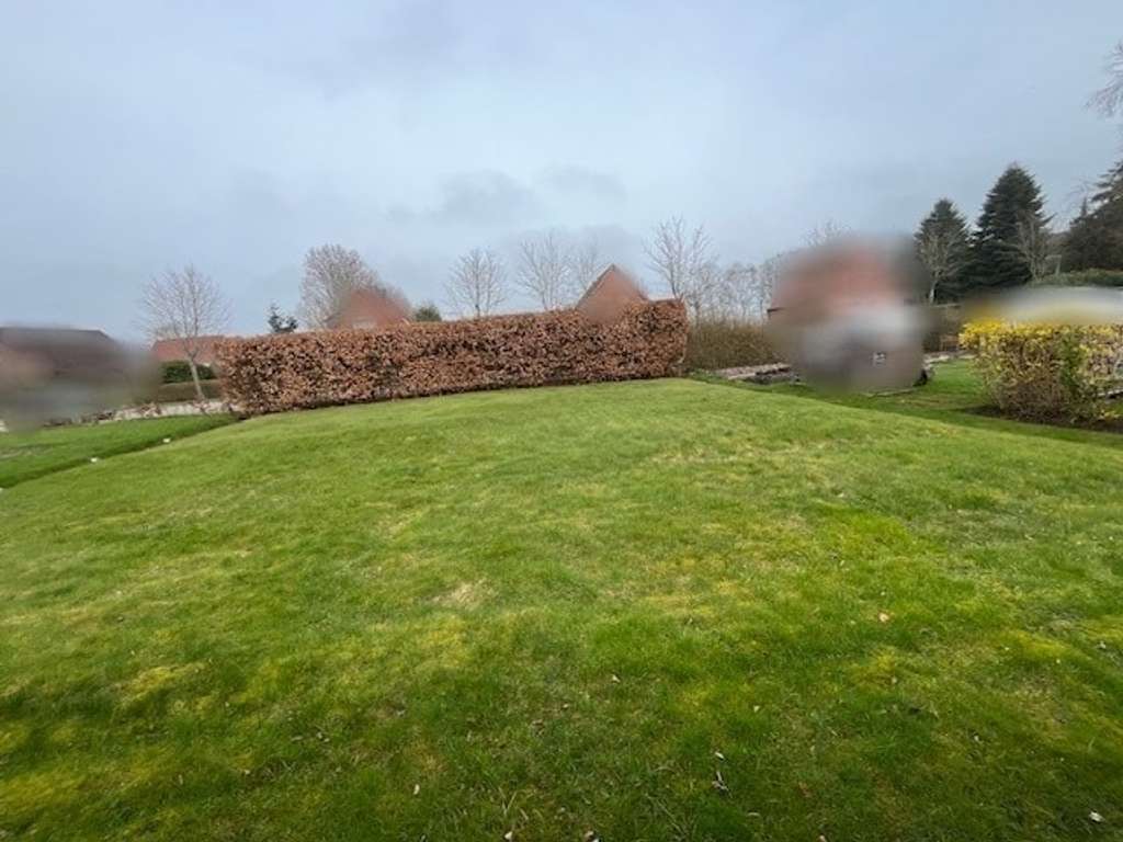 Immobilie in Hage - Siedlerhaus auf großem Grundstück im Luftkurort Hage  - Bild 4