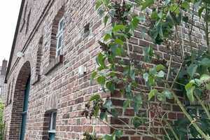 Einzigartiges Bauernhaus in Melle! – Osnabrück (Kreis) – Vorschaubild 13