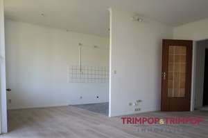 RUHIG, ZENTRAL, MIT AUFZUG! Renovierte 2-Zimmerwohnung am Rande der Innenstadt zu vermieten! – Hubertusstraße 191b, 47798 Stadtmitte, Krefeld – Vorschaubild 12