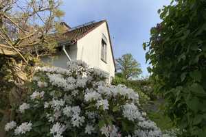 Freistehendes Einfamilienhaus in Kassel-Bad Wilhelmshöhe – Kassel – Vorschaubild 2