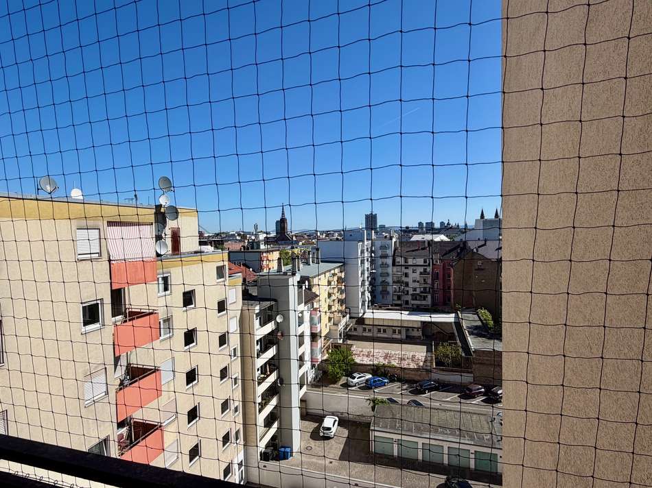 Ausblick