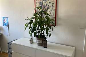 FÜR  AUFSTEIGER TOLLE WOHNUNG IM HERZEN VON AACHEN – Jakobstr. 26, 52064 Lindenplatz, Aachen – Vorschaubild 4