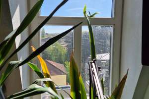 +++ Attraktive Investmentchance – Vermietete Altbauwohnung nahe TU Dresden +++ – Die vollständige Adresse der Immobilie erhältst du vom Anbieter., 1187 Plauen (Stadtteil), Dresden – Vorschaubild 9