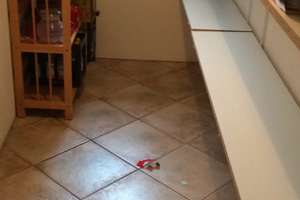 Geräumiges Einfamilienhaus mit 6 Zimmern in Wolfersdorf – Hochstraße 40, 85395 Wolfersdorf – Vorschaubild 16