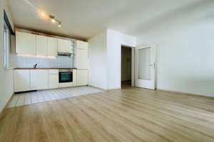 Moderne Souterrainwohnung in Hanglage mit 20 m² Terrasse , Stellplatz und EBK