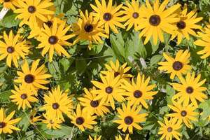 Property thumbnail 35