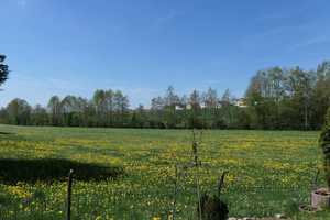 Einfamilienhaus am Ortsrand von Dürnau. – Biberach (Kreis) – Vorschaubild 7