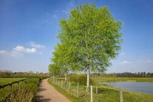 Property thumbnail 10