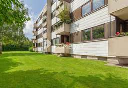 Garten 2