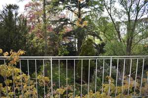 ++ Schöne Wohnung ++ Zentral und mit Blick in einen herrlichen Garten ++ – Elisabethstr. 140, 47799 Cracau, Krefeld – Vorschaubild 4