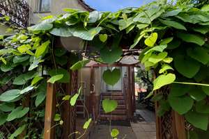 Black Friday Deal: Einfamilienhaus (für Handwerker) mit viel Potenzial – Die vollständige Adresse der Immobilie erhältst du vom Anbieter., 12555 Köpenick, Berlin – Vorschaubild 2