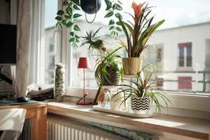 Property thumbnail 17