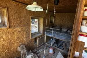 ++ ÖKO-BAUERNHOF im DRÖMLING ++ – Kämeritz 4, 39649 Jeseritz – Vorschaubild 28