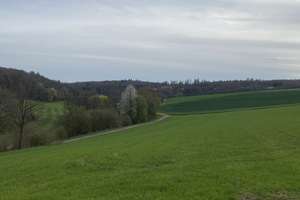 Doppelhaushälfte mit 200 m² Wohnfläche in Idstein – Meilbachstr. 14, 65510 Idstein – Vorschaubild 15