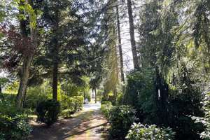 Charmantes Einfamilienhaus, Zufahrt, Garage, großer Garten – Die vollständige Adresse der Immobilie erhältst du vom Anbieter., 24598 Boostedt – Vorschaubild 7