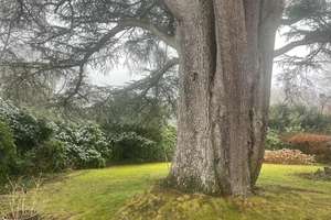 Property thumbnail 26