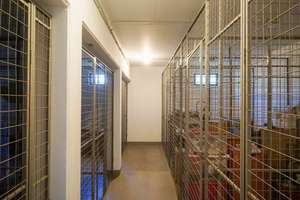 Bezugsfrei! Renovierte 1,5-Zimmer-Wohnung! – Troppauer Straße 19, 1279 Laubegast, Dresden – Vorschaubild 11