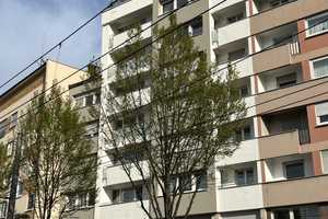 Property thumbnail 18