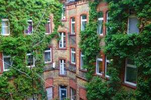LIVE HAPPY: Erstbezug nach Renovierung in Innenstadt-Altbauwohnung mit neuer Einbauküche – Luisenstraße 17, 65185 Mitte, Wiesbaden – Vorschaubild 10