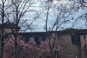 Sonne pur*4. OG mit Ausblick*Tolles Apartment in Schmargendorf* S-O-Balkon, Lift, Deckenhöhe über 3m – Die vollständige Adresse der Immobilie erhältst du vom Anbieter., 14199 Schmargendorf, Berlin – Vorschaubild 6
