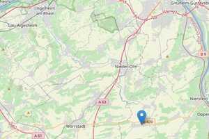 Solides und teil-saniertes Einfamilienhaus mit großem Garten in UNDENHEIM zu verkaufen! – Mainz-Bingen (Kreis) – Vorschaubild 35