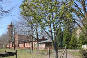 Neuer Preis! Einzigartiges Energiespar-Reihenendhaus auf Hermannswerder von Wasser umgeben – Die vollständige Adresse der Immobilie erhältst du vom Anbieter., 14473 Templiner Vorstadt, Potsdam – Vorschaubild 32