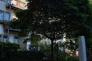ruhige und grüne 1 Zimmer-Gartenwohnung im sanierten Denkmal – Pfotenhauer Straße 67, 1307 Johannstadt-Nord, Dresden – Vorschaubild 4