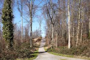 Property thumbnail 26