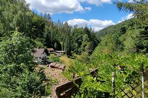 Erholung pur im Pfälzerwald! Idyllisches Wochenendhaus in Frankenstein (Pfalz) – Schliertal 22, 67468 Frankenstein – Vorschaubild 8