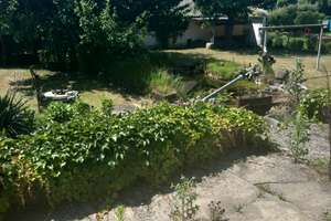Idyllisches Wohngrundstück lädt zum Verweilen ein.. – Zum Freibad 22, 14943 Luckenwalde – Vorschaubild 35