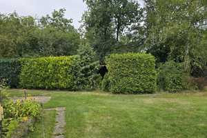 Einfamilienhaus mit großem Grundstück und Wintergarten in Lindwedel ( Heide ) – In den Heidlandsfuhren 36, 29690 Heidekreis – Vorschaubild 15