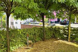 Schönes Haus in Bollenbach, ideal für Naturliebhaber! – Birkenfeld (Kreis) – Vorschaubild 4