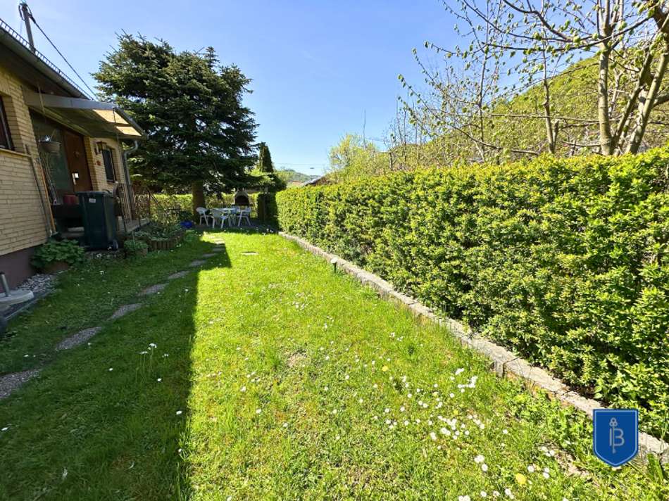 Garten hinter dem Haus