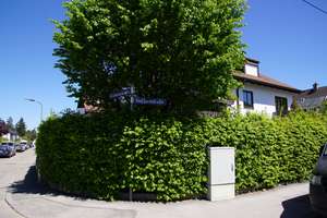 Exklusive Erdgeschosswohnung mit großem, uneinsehbarem Garten im Osten von München / Berg am Laim – Die vollständige Adresse der Immobilie erhältst du vom Anbieter., 81825 Berg am Laim Ost, München – Vorschaubild 6