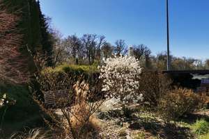 Sehr schönes großes EFH mit tollem Garten und einer Gewerbeeinheit mit 446qm – Marbacher Weg ?, 74231 Bietigheim-Bissingen – Vorschaubild 8