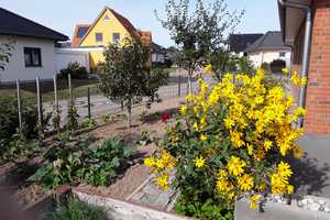 Bungalow  an der Ostseeküste in Rerik  – Alte Gärtnerei 13, 18230 Bad Doberan (Kreis) – Vorschaubild 9