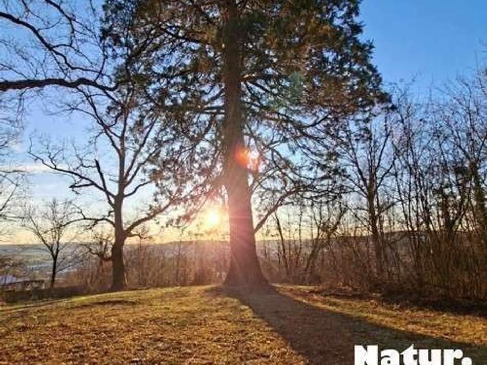 Natur. Kultur. Architektur.