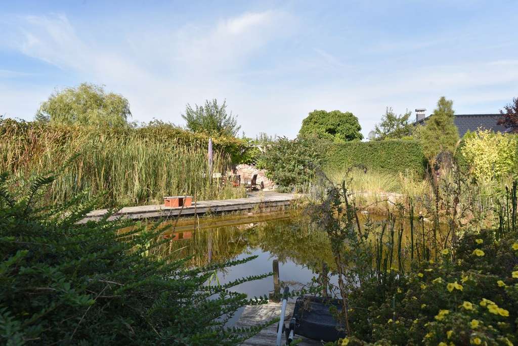 Immobilie in Oberbarnim - Stilvoll, großzügig, effizient - dieses Haus wird auch Sie begeistern - Bild 2