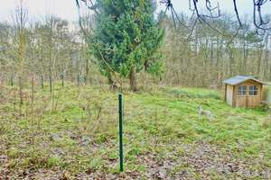 RESERVIERT - Ungeschliffene Perle - großer Bungalow mit Einliegerwohnung in absoluter Alleinlage – Die vollständige Adresse der Immobilie erhältst du vom Anbieter., 37627 Eschershausen – Vorschaubild 34