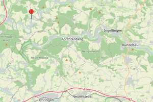 Naturparadies mit Weitblick auf die Stadt! Doppelhaus mit über 4.200 m² Grundstück - FALC Immobilien – Die vollständige Adresse der Immobilie erhältst du vom Anbieter., 74249 Jagsthausen – Vorschaubild 46